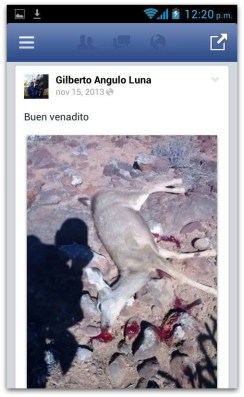 2 - 1 venado muerto