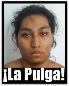 2 - 1 chora