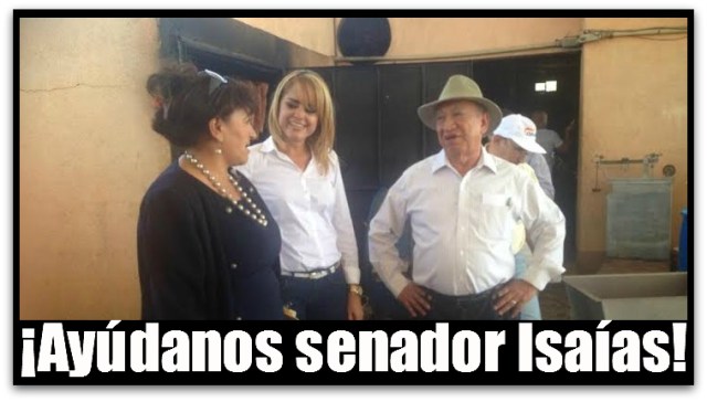 2 - 1 puentes vehiculares senador isaias