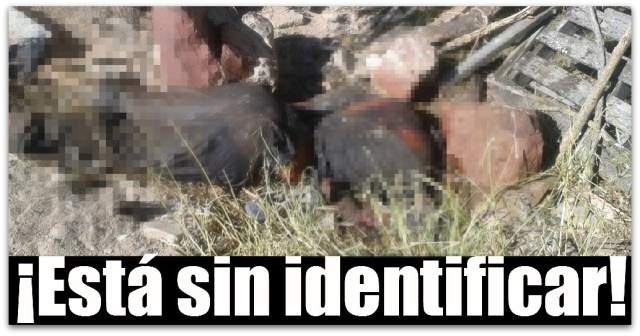2 - 1 piedra en la cabeza