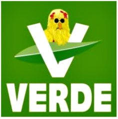 2 - 1 pvem logo