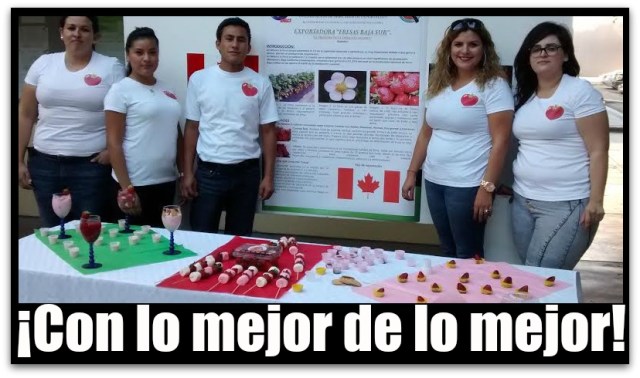 2 - 1 uabcs proyectos de exportacion