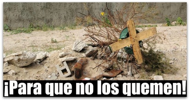ARBOLES DE NAVIDAD