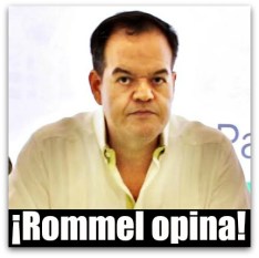 ROMMEL FIOL PVEM SEGURIDAD