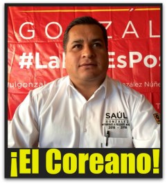SAUL GONZALEZ NUÑEZ ELCOREANO