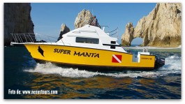 1 foto manta scuba