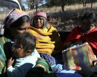 1 jornaleros tarahumaras