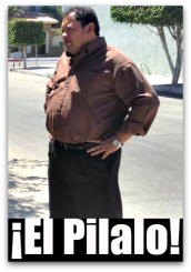 1 pilalo carballo