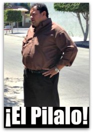 1 pilalo carballo