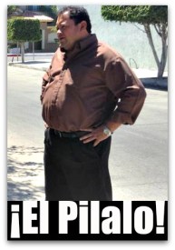 1 pilalo carballo