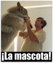 LOBO 001