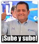 PICORE ENCUESTAS