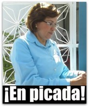 1 DIANA VONBORSTEL PROFESORA NO TIENE PROPUESTA NI SABE HABLAR Y ARTICULAR IDEAS