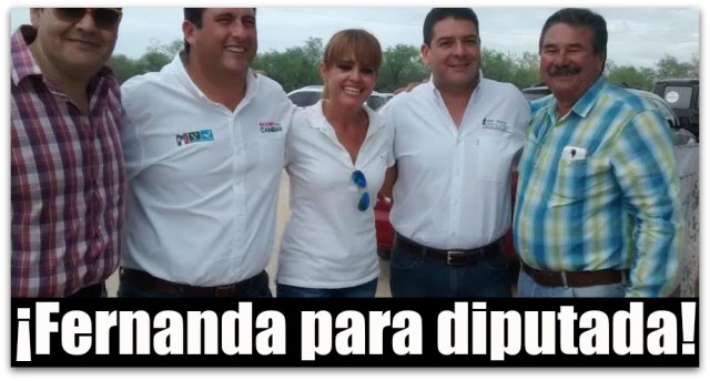 1 fernanda villarreal diputada