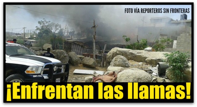 1 incendio invasion cactus cabo san lucas
