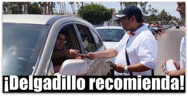 DELGADILLO ARCE DIRECTOR