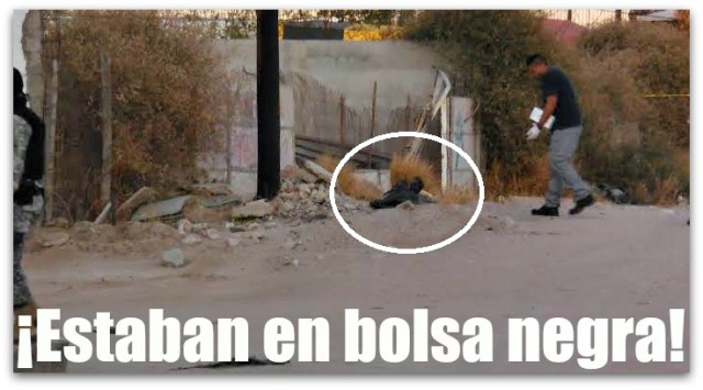 1 a bolsa