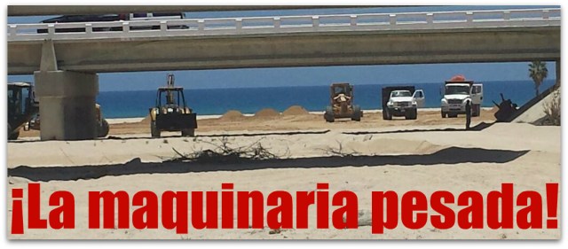 1 a depredacion en el arroyo el tule 002