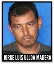 1 a jorge luis ulloa madera tepic nayarit