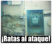 1 a sapa la paz bcs