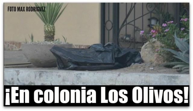1 desmembrado colonia los olivos