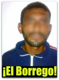 1 a el borrego