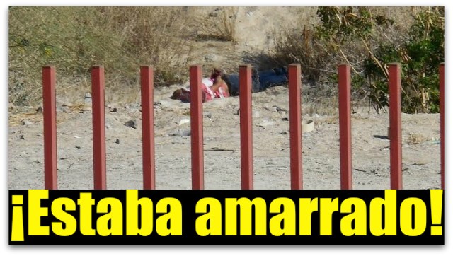 1 a el tomate
