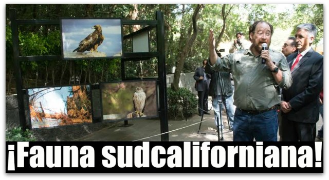 1 a fauna uabcs df