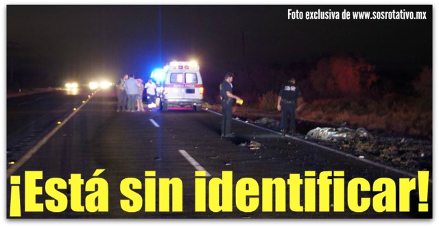 1 atropellado en ciudad constitucion