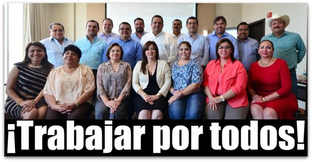 1 a diputados carlos mendoza davis