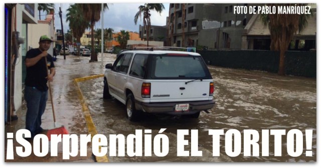 1 a torito cabo san lucas ok ok