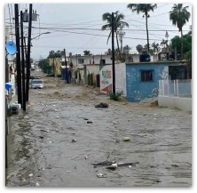 1 a basura al mar cabo san lucas zona centro