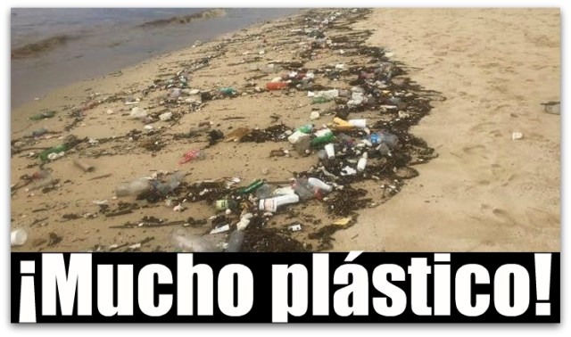 1 a basura al mar cabo san lucas
