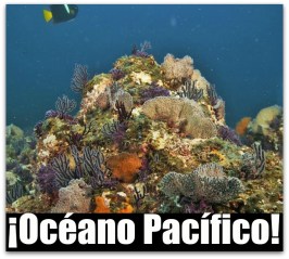 1 a especie oceano pacifico mar
