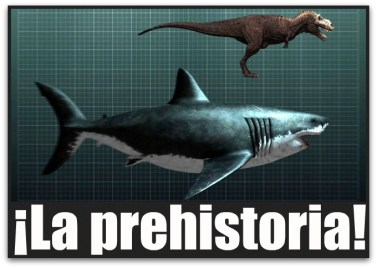 1 a megalodon baja california sur