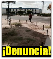 0 a ayuntamiento anuncios publicitarios