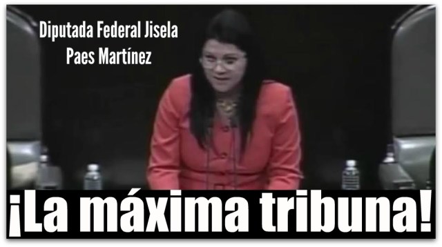 0 a jisela paes iva discusion camara de diputados