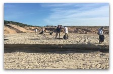 0 a limpieza playas los cabos 4845