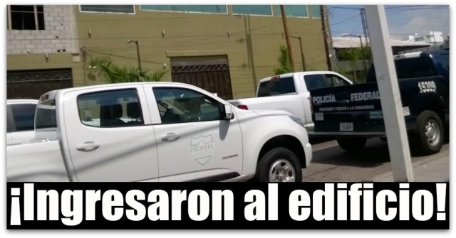 0 a operativo policia federal y profepa la paz bcs