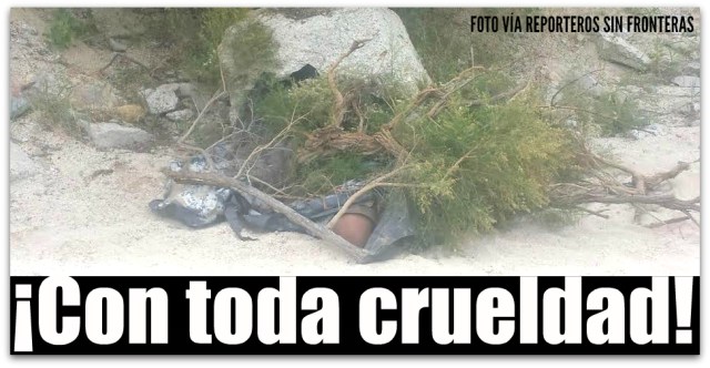 0 a a cadaver en la playa el tule