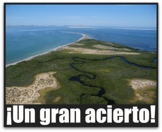 0 a manglares bahia magdalena bcs