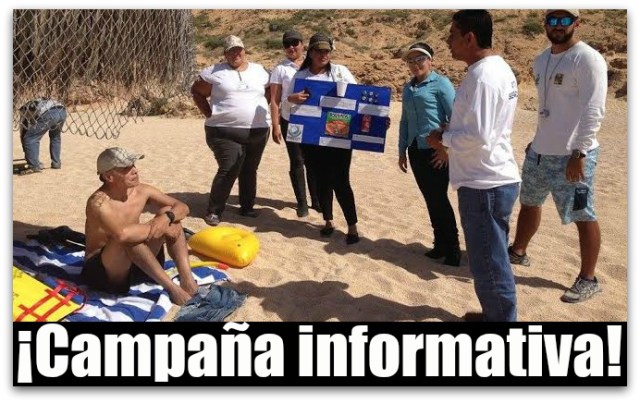 0 a a a playas de los cabos zofemat