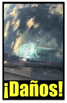 0 a autopista los cabos