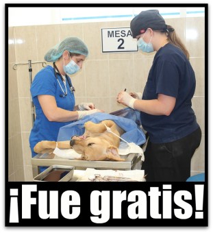 0 a jornada esterilizacion uabcs
