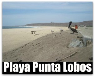 D A PLAYA PUNTA LOBOS BCS
