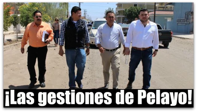 0 a a francisco pelayo pavimentacion sedatu