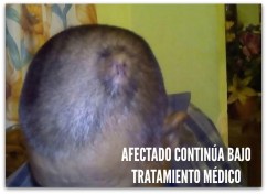 0 A CHOQUE EN SAN JOSE DEL CABO BCS AFECTADO