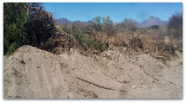 0 a depredacion en loreto ahora