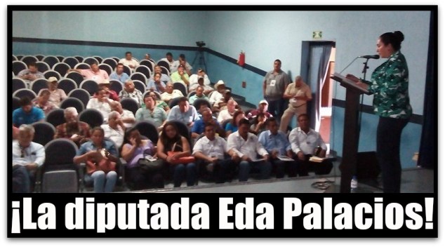 0 a eda palacios diputada foro agropecuario