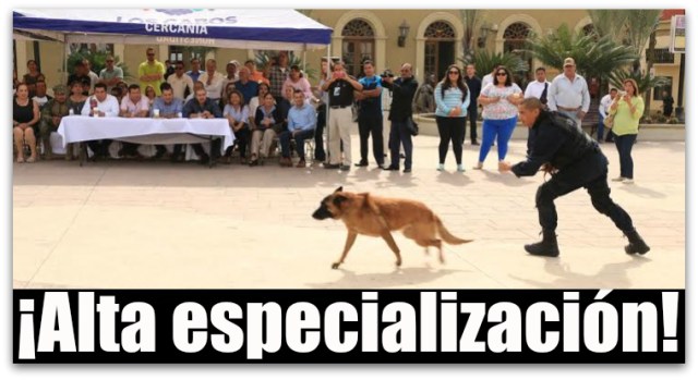 0 a unidad canina de policia de los cabos